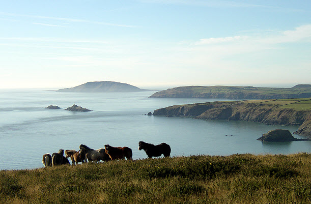 Aberdaron to Rhiw